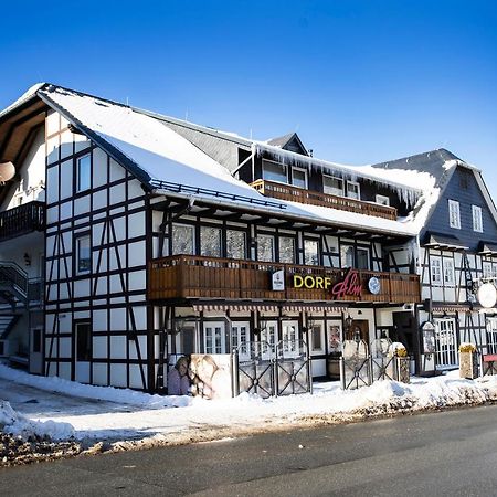 Gaestehaus Dorf-Alm Willingen  Exterior photo